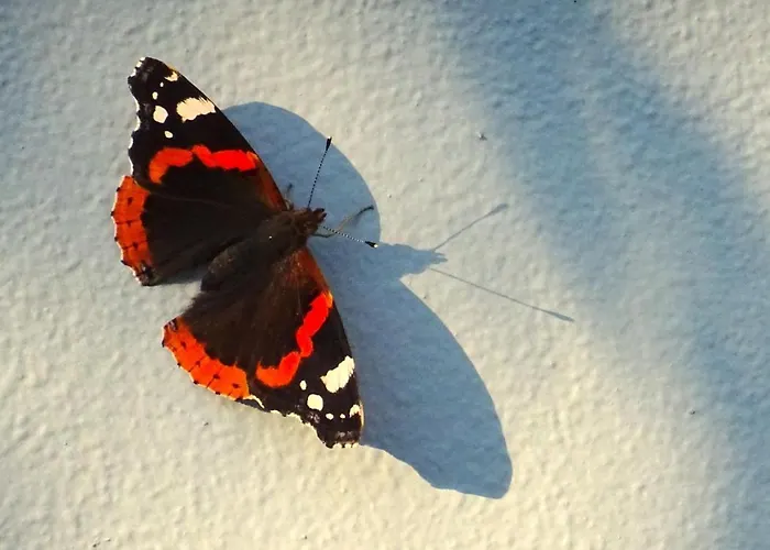 Holiday home Vasiliki